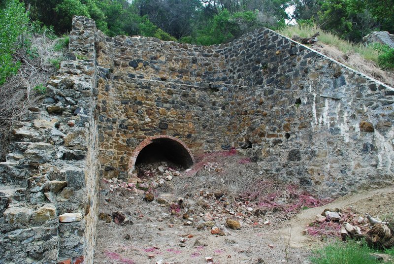 WALKERVILLE LIME KILNS SOHE 2008