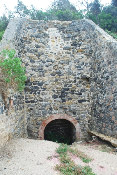 WALKERVILLE LIME KILNS SOHE 2008