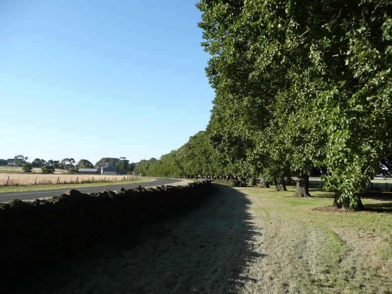 GLENORMISTON HOMESTEAD SOHE 2008