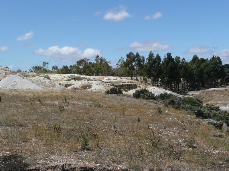 BERRY CONSOLS EXTENDED DEEP LEAD GOLD MINE SOHE 2008