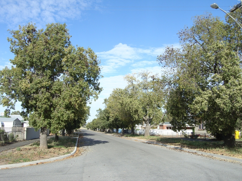 KURRAJONG AVENUE SOHE 2008