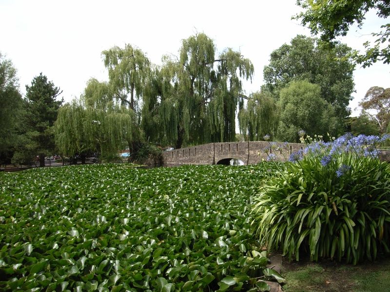 WARRNAMBOOL BOTANIC GARDENS SOHE 2008