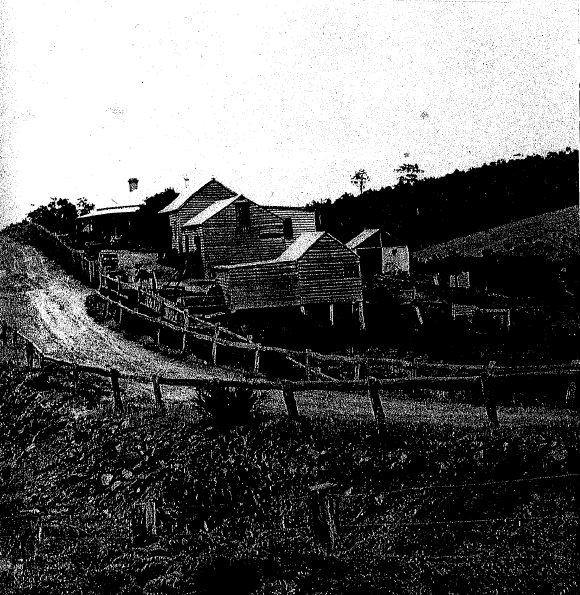 HO251- Jones Orchard circa 1900