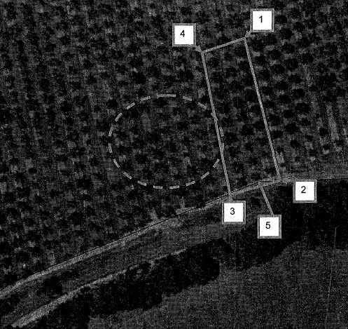Aerial view of early plantings - GROUP 2 - Group 2 Wlliams pears showing main group of 27, with other scattered early examples interplanted with more recent trees within the dotted area. AMGs: 1- 343932, 5841059; 2- 343952,5841012; 3- 343945, 5841006; 4~3