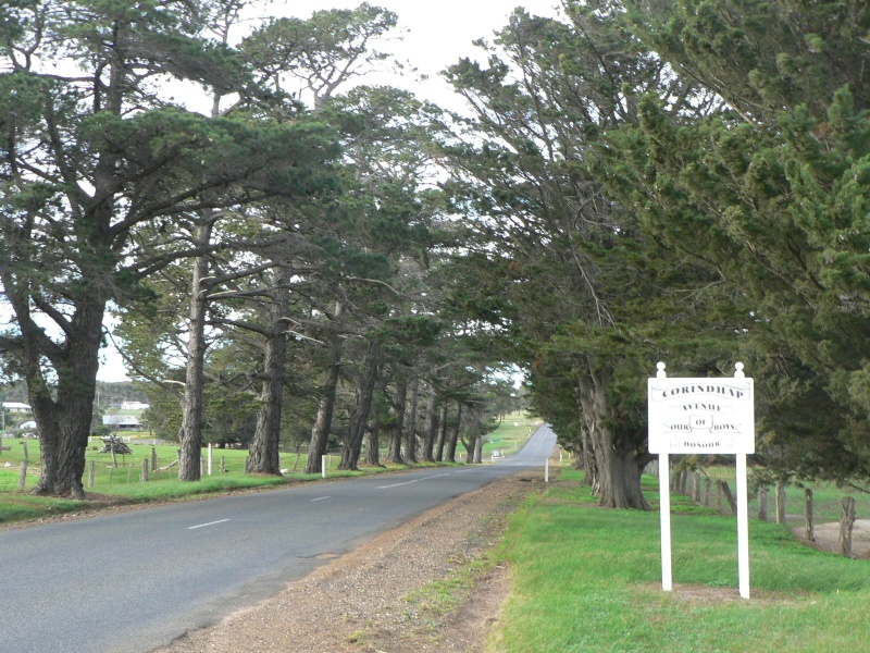 Corindhap Avenue of Honour