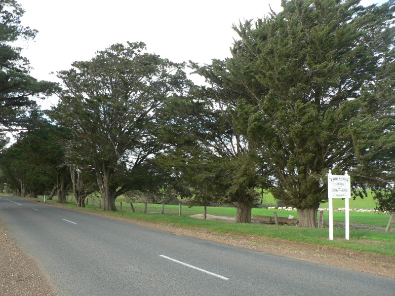 Corindhap Avenue of Honour