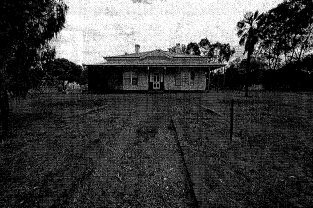 Edendale farm house from south, show'ing basalt garden edges and trachycarpus specimens