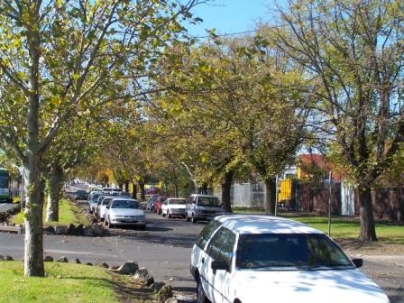 Queens Parade trees