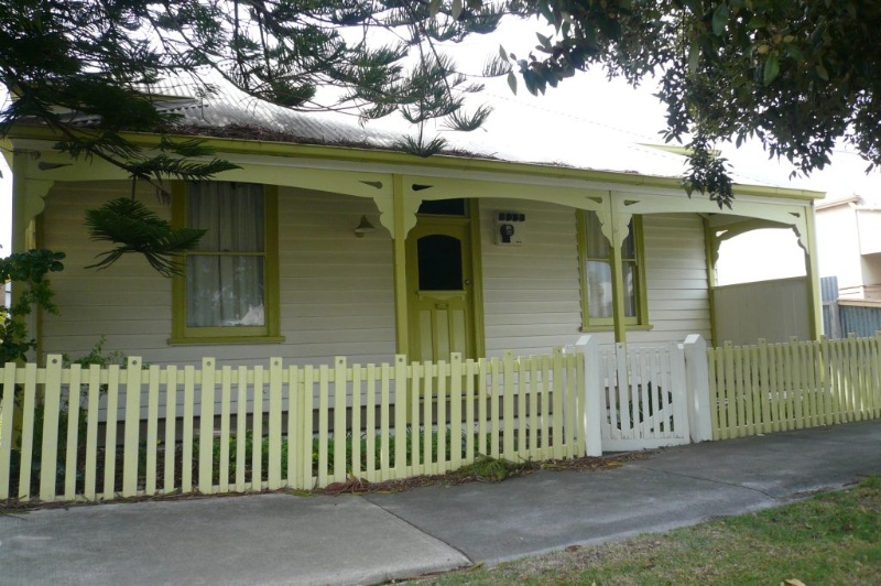 Norfolk Island Pine, 35 Beach Street, Queenscliff