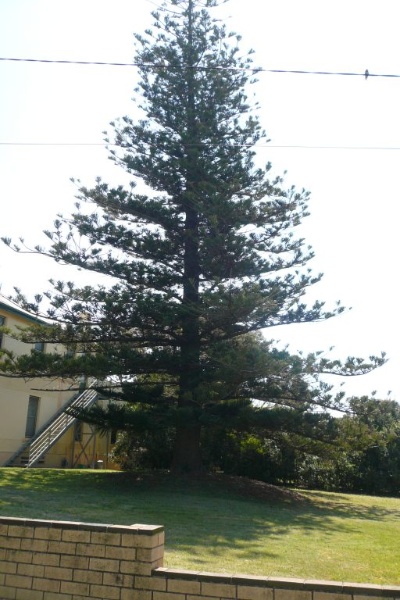 Mt. Nagle, (formerly Mt. Edgecombe), 10 Queen Street, Queenscliff