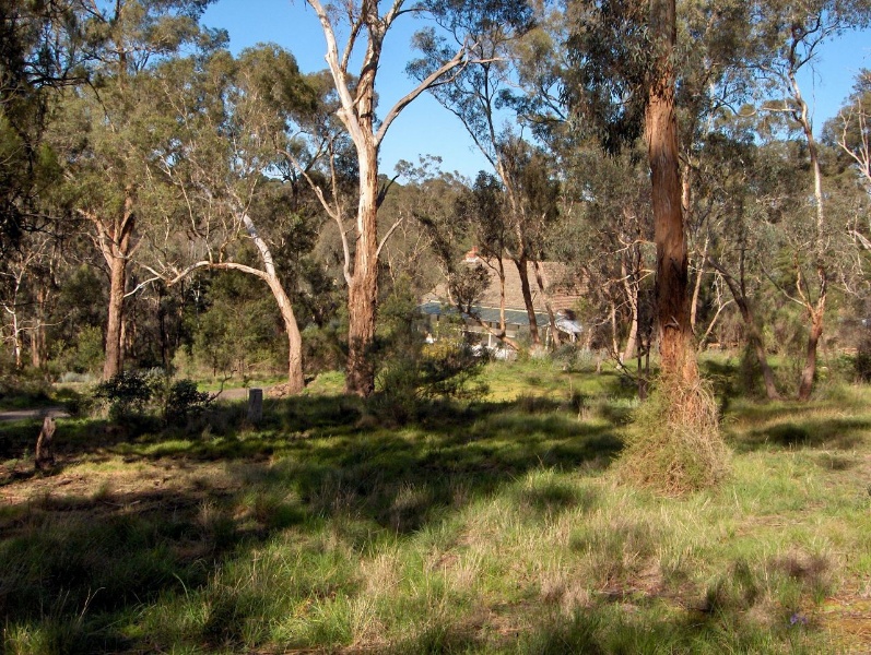 Browns Nature Reserve