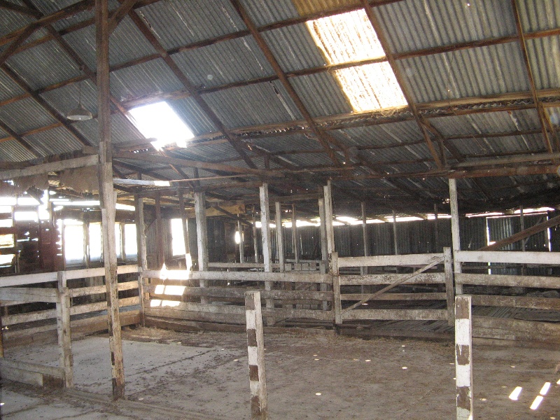 Clonard homestead complex_milking/shearing shed interior