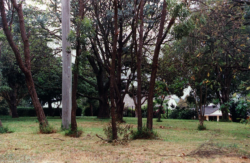 A park within the Mount Eagle Estate