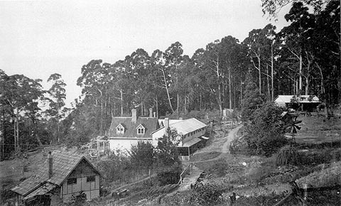 McCubbin_fountainebleau early photo c1920.jpg