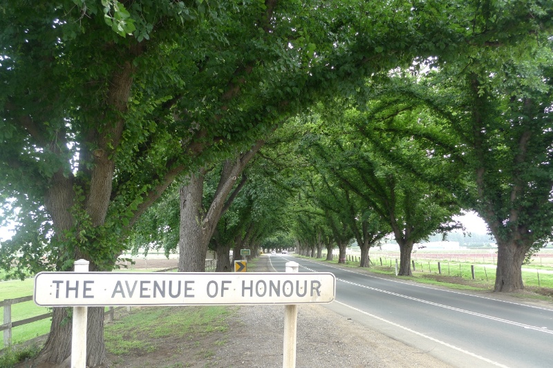 4957_Bacchus Marsh Avenue of Honour_25 December 2009_HV_019.JPG