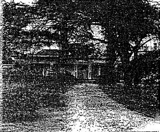 Netherby, 606 Warrenheip Street, Buninyong - 1983 Buninyong Conservation Study