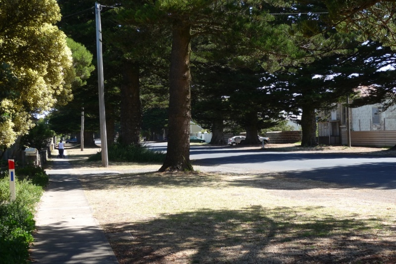 16511_Port Fairy Norfolk Island pines_ 28 January 2010 _HV_ 012.JPG