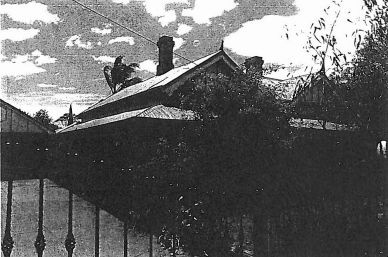 Cowan Cottage (no. 20).