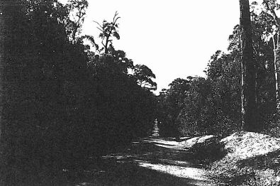 Ambler Lane (FWD), Break Neck Gully (North of O'Brien's Crossing).