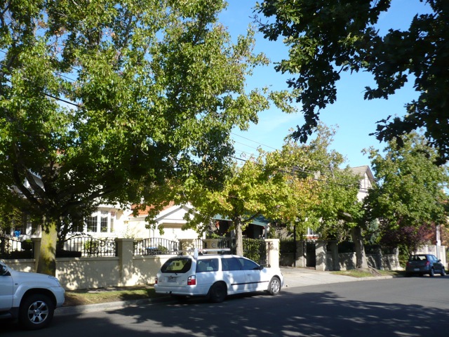 Street trees near Avalon Road