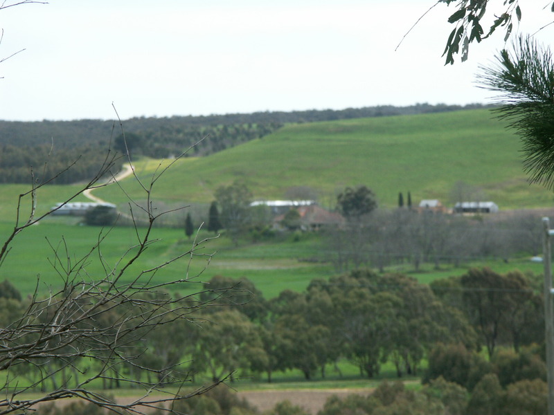 Bungeeltap Homestead (incl. Cemetery), Moorabool Shire Heritage Study Stage 1, 2010