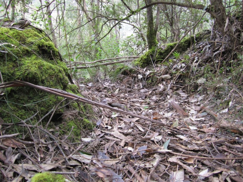 Lead workings, South West Zone, Horseshoe Bend - Exit race from sluiced bench