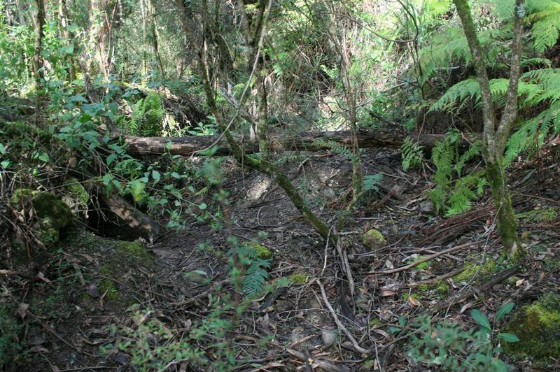 Lead workings, South West Zone, Horseshoe Bend - Sluiced trench following incised gutter (lead)