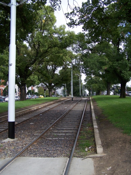 Victoria Parade Street Trees