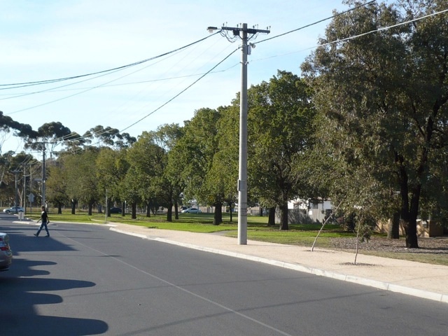 DS BAIN RESERVE ELM ROWS