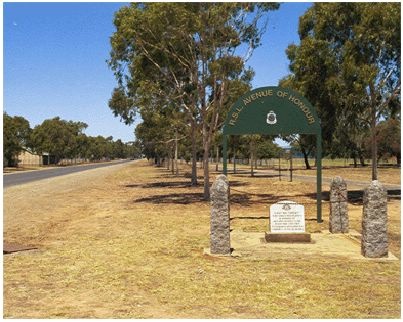 Yarrawonga avenue.jpg