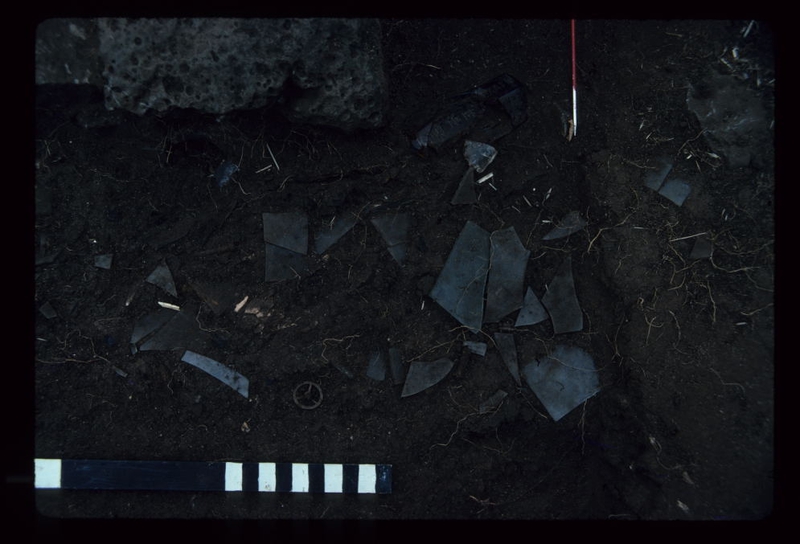 LAKE CONDAH DORMITORY EXCAVATION