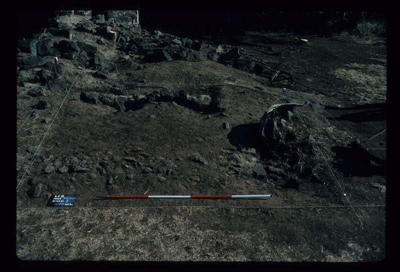 LAKE CONDAH DORMITORY EXCAVATION