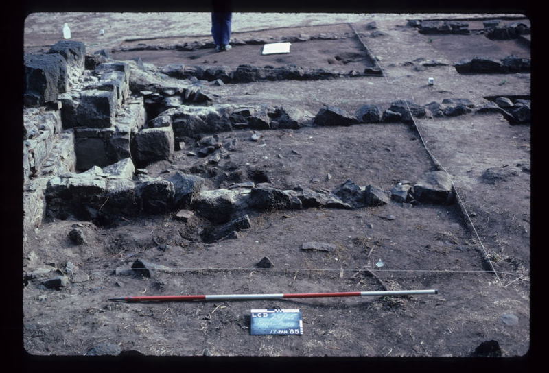 LAKE CONDAH DORMITORY EXCAVATION