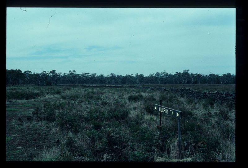 LAKE CONDAH - COMPLEX B FEATURE