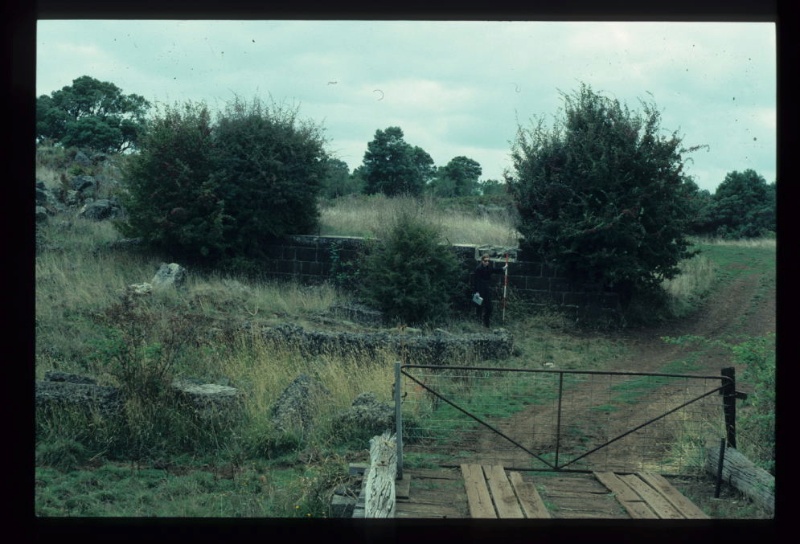 LAKE CONDAH BRIDGE REMAINS