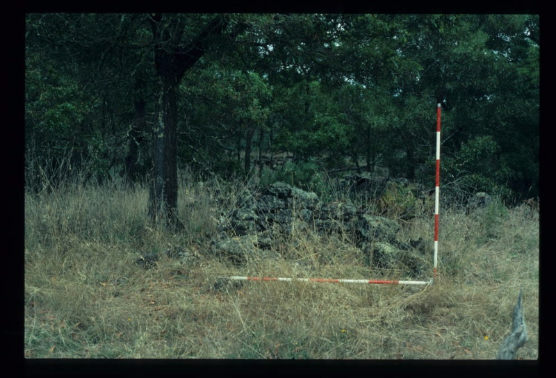 LAKE CONDAH DRY STONE STRUCTURE