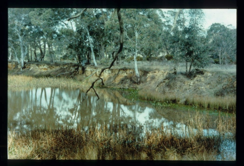 FIERY CREEK DREDGE HOLE