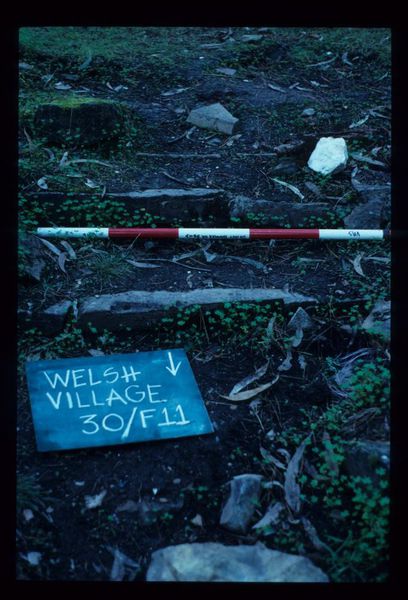 WELSH VILLAGE 30 FEATURE