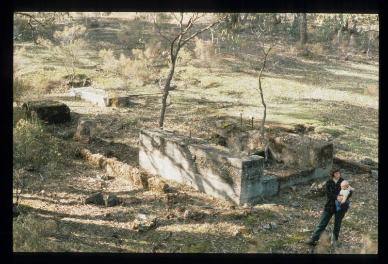 SPRING GULLY CO. MINE