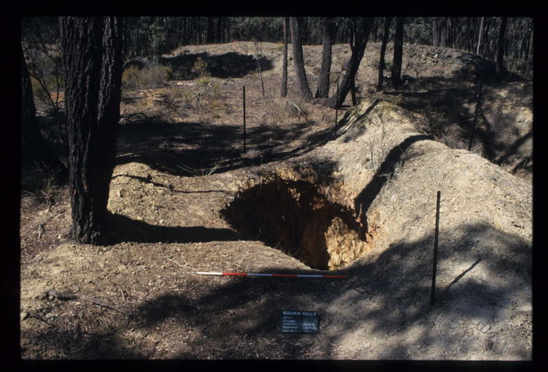 AREA OF REEF WORKINGS BENDIGO MINING NL FEATURES 40.1-40.6 EXCAVATION