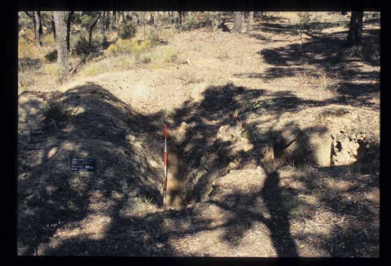 DAM WALL AND ASSOCIATED FEATURES BENDIGO MINING NL FEATURE 47 EXCAVATION