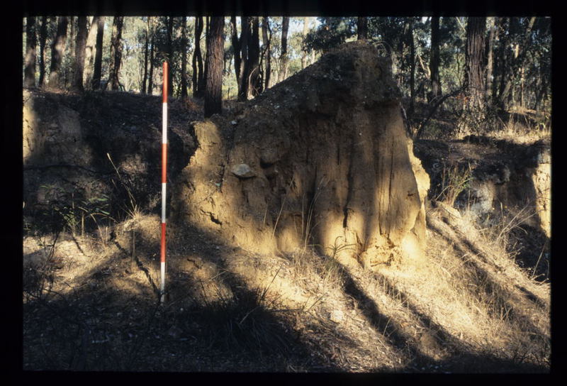 DAM WALL AND ASSOCIATED FEATURES BENDIGO MINING NL FEATURE 47 EXCAVATION