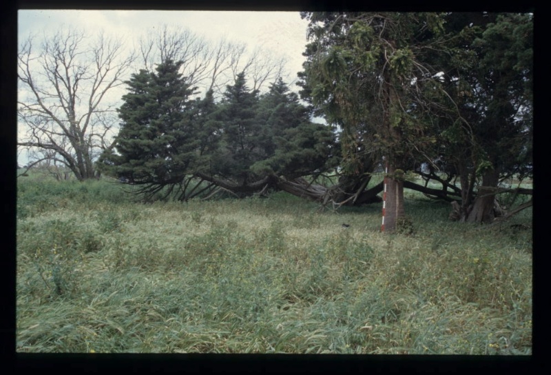 BATMAN PASTORAL RUN AND KINLOCHEWE ESTATE SITE