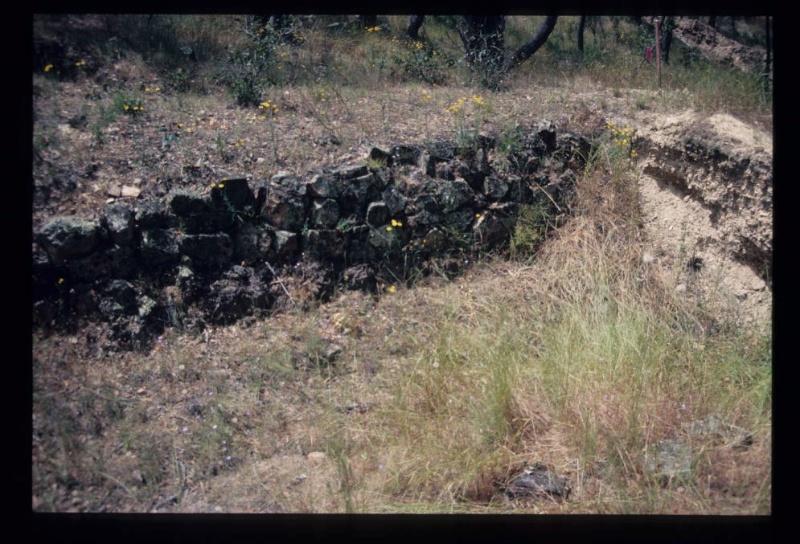 DALEY &amp; WESTON'S MINE