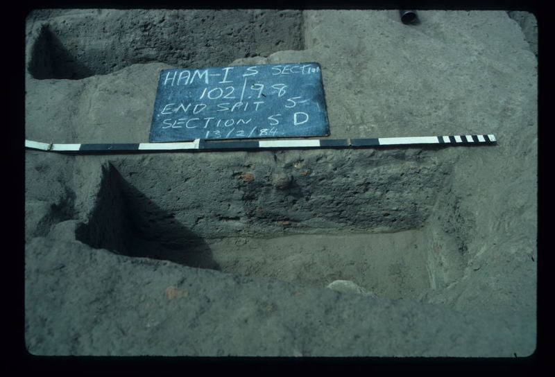 CORINELLA PENAL SETTLEMENT EXCAVATION