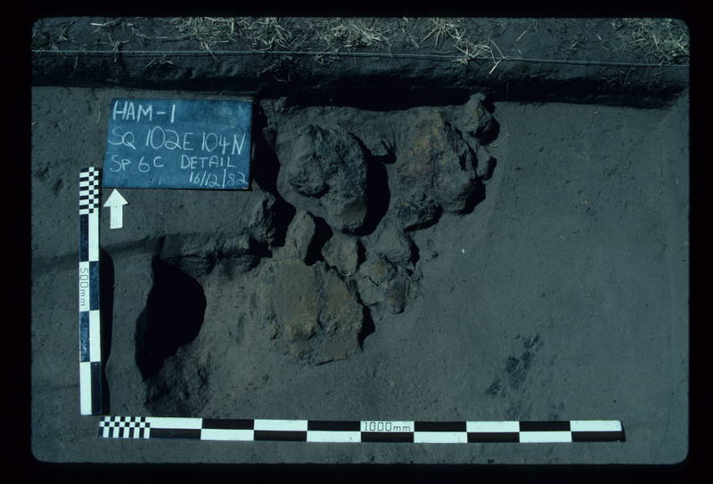 CHURCHILL ISLAND EXCAVATION