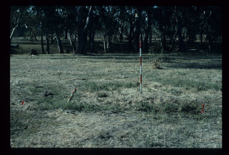 MURCHISON POLICE PADDOCKS