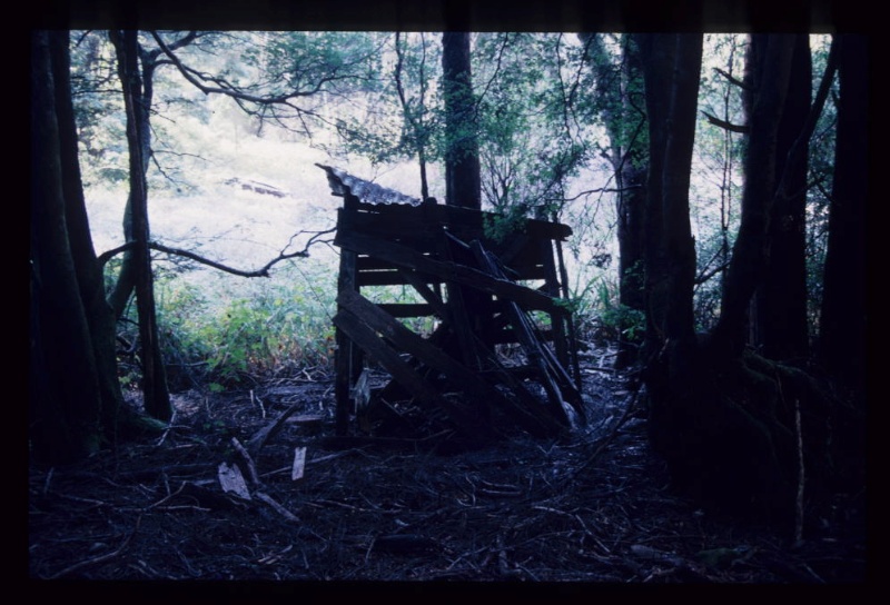 ALSTERGREN'S SAWMILL