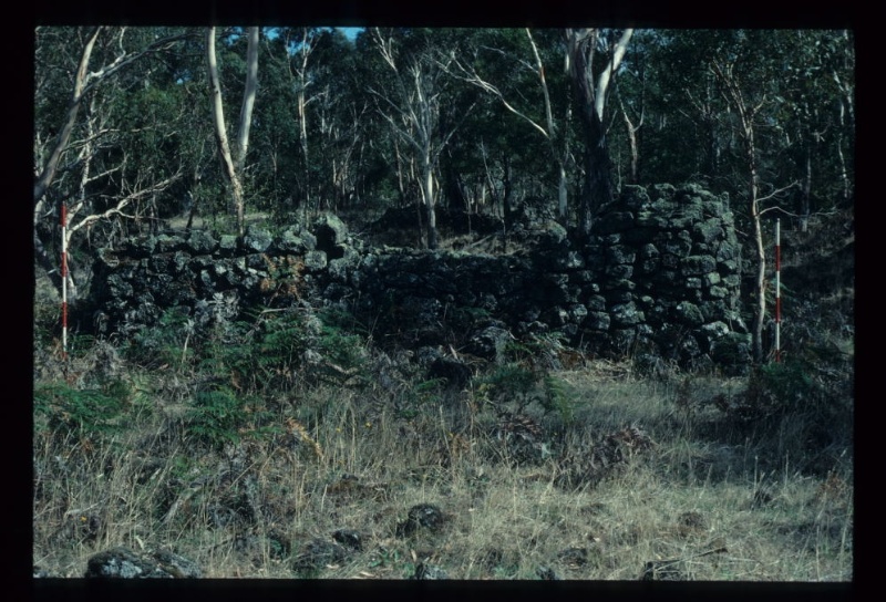 Lake Condah complex C