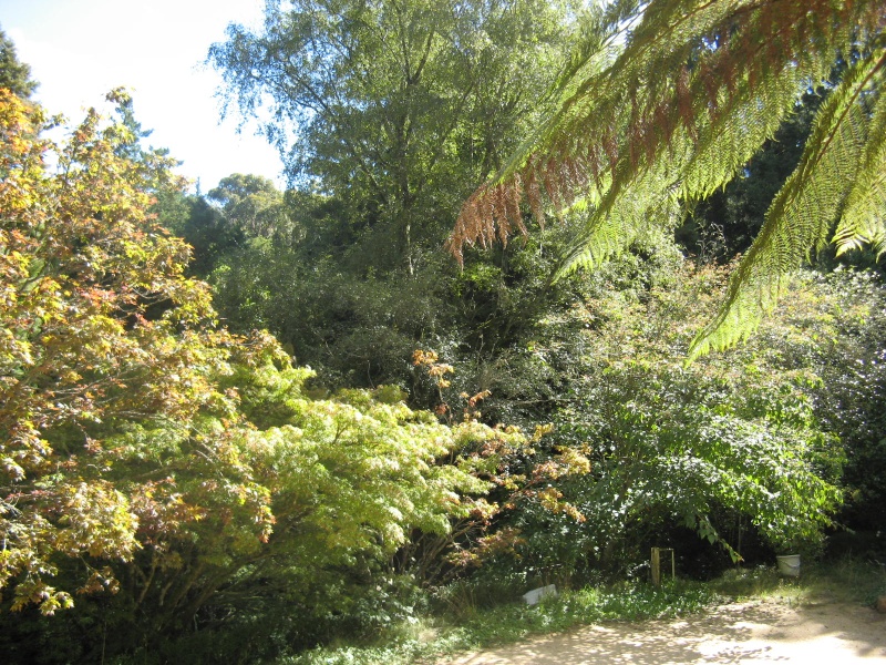 karori garden